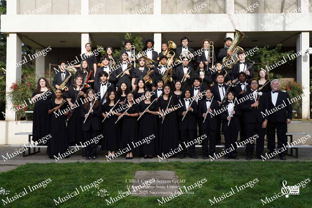 Musical Images
